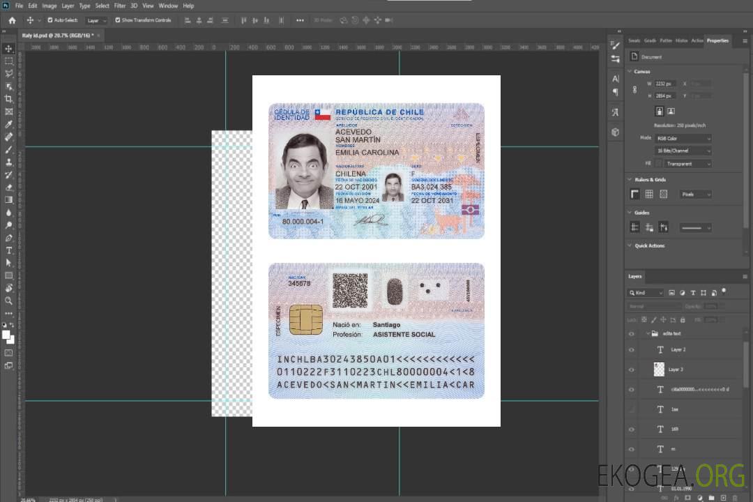 Carte d'identité du Chili 2024-présent template Carte d'identité du Chili 2024-présent template